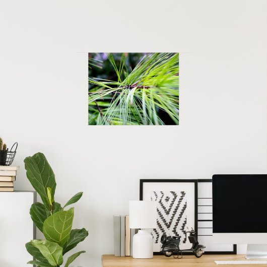 白い松 ポスター (ホームオフィス)