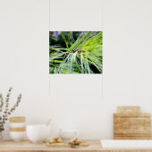 白い松 ポスター (キッチン)