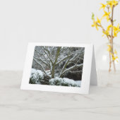 白い枝 カード (黄色い花)