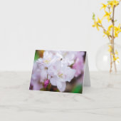 白い桜のグリーティングカード カード (黄色い花)