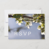 白い桜の花嫁RSVPウェディング 出欠カード (裏面)