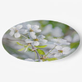 白い桜の花 ペーパープレート (アングル)
