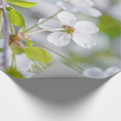 白い桜の花 ラッピングペーパー (角)