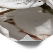 白い梨の花フォトファミリーツリーポスター ポスター (角)