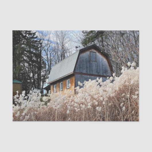 白い植物の畑を見下ろす頑強な納屋 薄葉紙 (正面)