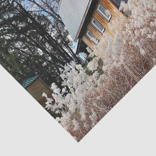 白い植物の畑を見下ろす頑強な納屋 薄葉紙 (詳細)