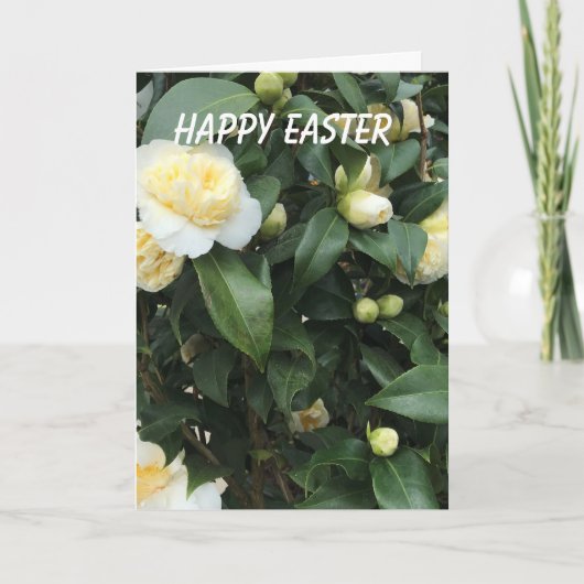 白い椿のイースター シーズンカード (正面)