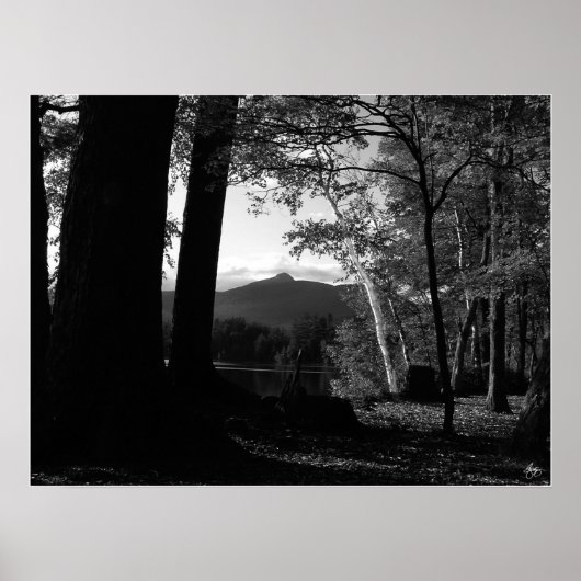 白い樺の木のChocorua Sunsetポスター ポスター (正面)