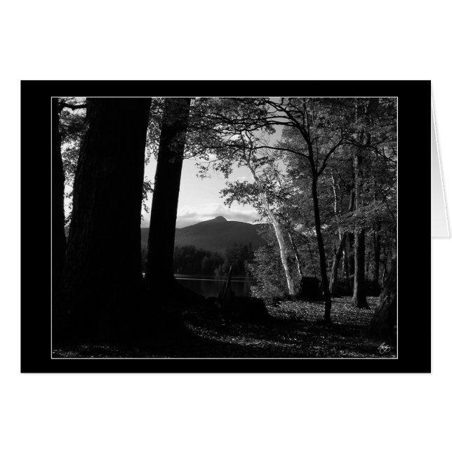 白い樺の木のChocorua Sunset Card (正面横)