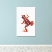 白い毒ストライプののダーツカエル キャンバスプリント (インサイチュ (ウッドフロア))