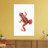 白い毒ストライプののダーツカエル キャンバスプリント (インサイチュ (リビング))