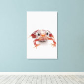 白い毒ストライプののダーツカエル キャンバスプリント (インサイチュ (ウッドフロア))