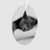 白い毛布の下の灰色猫 オーナメント (正面)