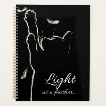 白い毛羽の黒い猫