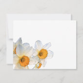 白い水仙の写真 愛する人の記憶を称えるカード 招待状 (裏面)