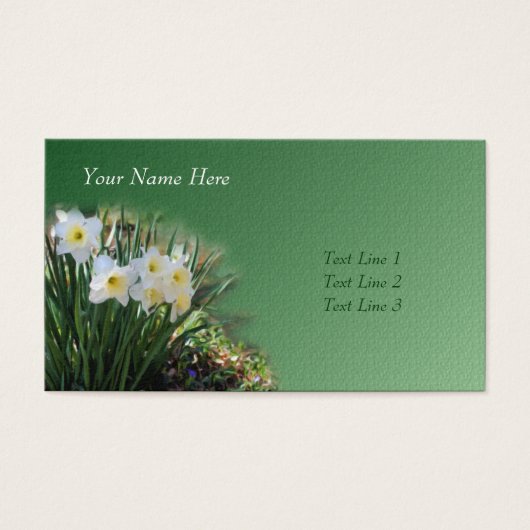 白い水仙の花芸術 (正面)