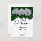 白い水彩の蘭の絵 招待状 (正面/裏面)