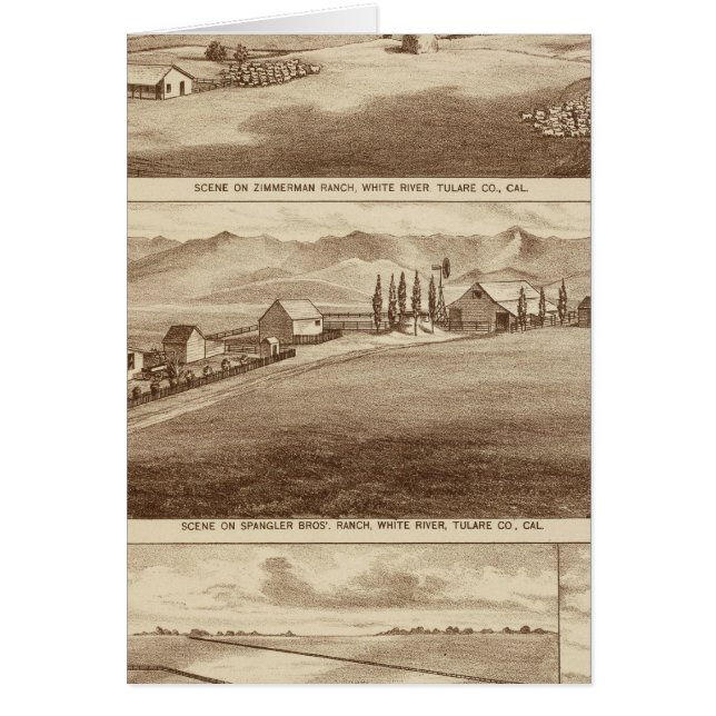 白い水、受け皿のランチ (正面)