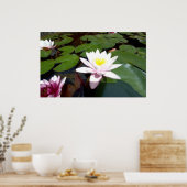 白い池のバラ ポスター (キッチン)