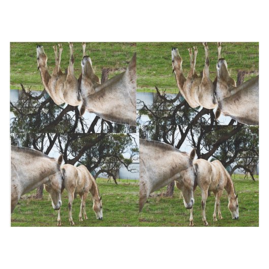 白い泥だらけの馬 テーブルクロス (正面(横))