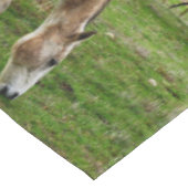 白い泥だらけの馬 テーブルクロス (アングル)