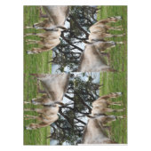 白い泥だらけの馬 テーブルクロス (正面)