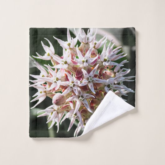 白い派手なミルクウィード、花の写真 ウォッシュタオル (ウォッシュタオル)