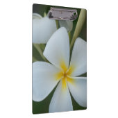 白い熱帯プルメリアの花フィジー クリップボード (右)