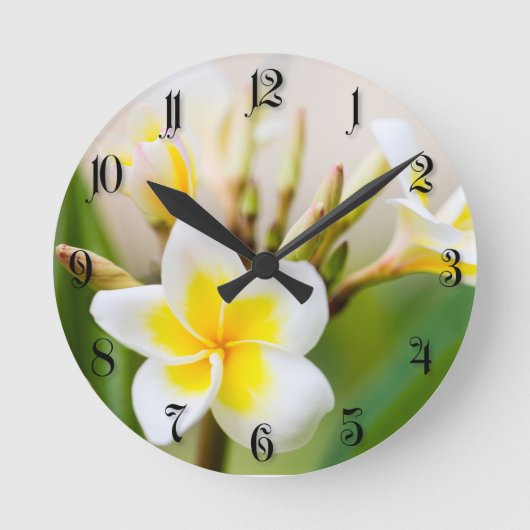 白い熱帯花 ラウンド壁時計 (正面)