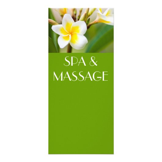 白い熱帯花 ラックカード (正面)