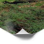 白い牛が群れを率いていた ポスター (コーナー)