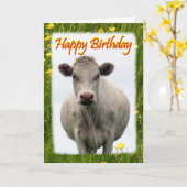 白い牛の誕生日カード カード (黄色い花)