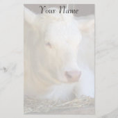 白い牛 便箋 (正面)