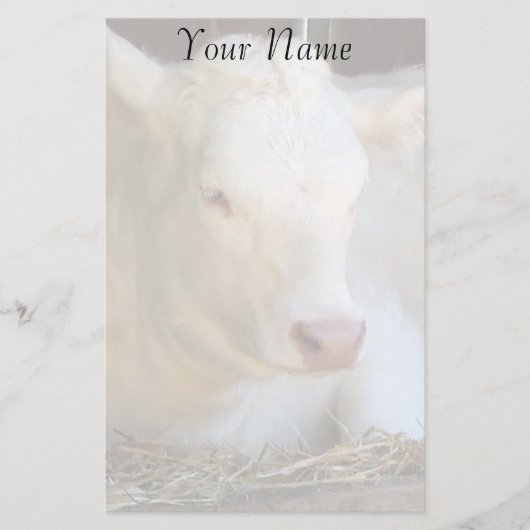 白い牛 便箋 (正面)