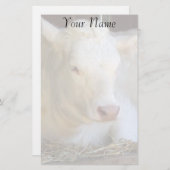 白い牛 便箋 (正面/裏面)