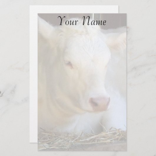 白い牛 便箋 (正面/裏面)