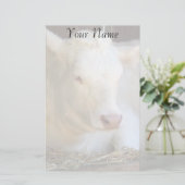 白い牛 便箋 (スタンド正面)