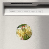 白い牡丹中国のの花のマクロ マグネット (インサイチュ (食洗機))