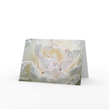 白い牡丹空白の写真グリーティングカード