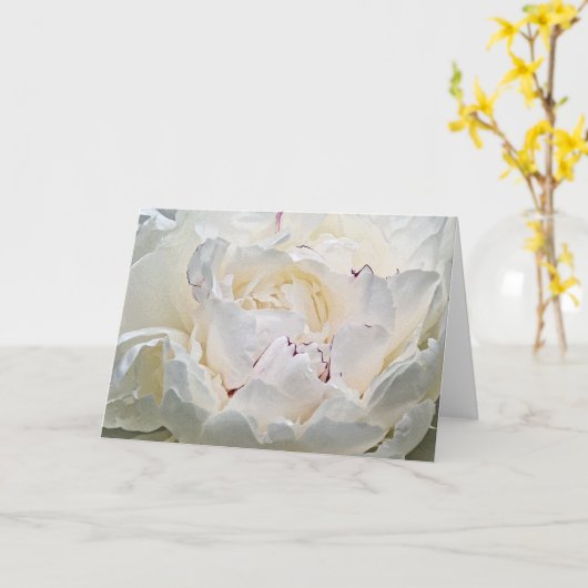 白い牡丹空白の写真グリーティングカード カード (黄色い花)