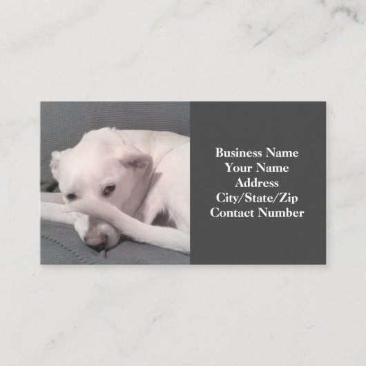 白い犬のおもしろい顔灰色の尾の写真 名刺 (正面)
