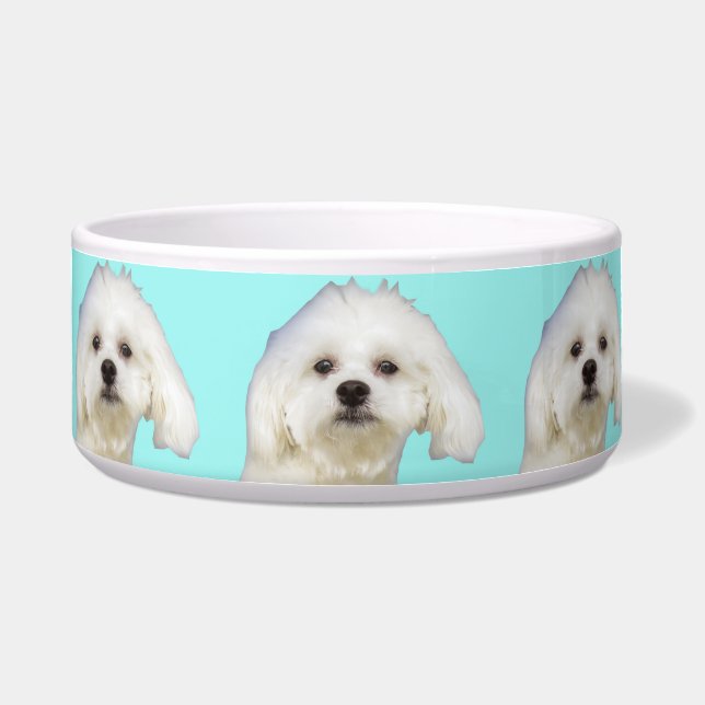白い犬のマルチーズの子犬 ボウル (正面)