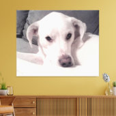 白い犬の灰色のキャンバスの美しい絶妙な写真 キャンバスプリント (インサイチュ (リビング))