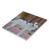 白い犬 タイル (側面)