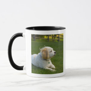 白い犬 マグカップ