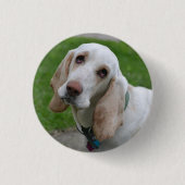 白い犬、頭が横に傾いている 缶バッジ (正面)