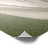 白い独身のチューリップの花独自の文字を作成 ポスター (角)