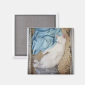 白い猫が洗濯籠で寝ていた。 マグネット (正面/裏面)