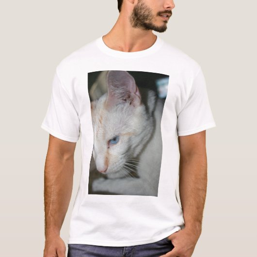 白い猫のワイシャツ Tシャツ (正面)