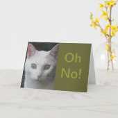 白い猫の写真ユーモアのあるは良いカード カード (黄色い花)